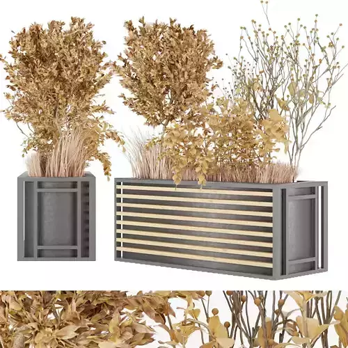 Collection plant vol 20 3D model