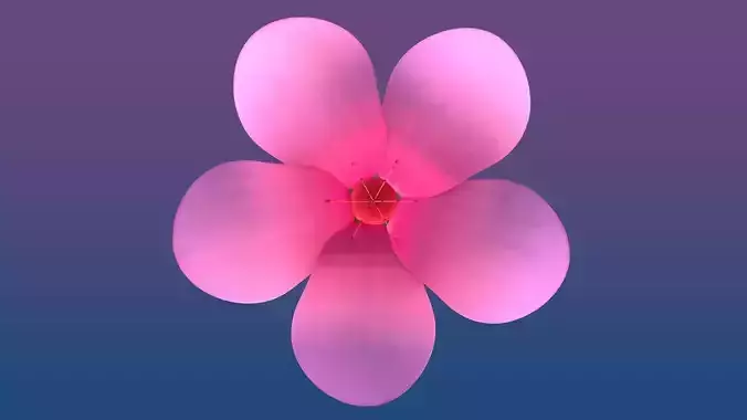 Cherry Blossom - Sakura