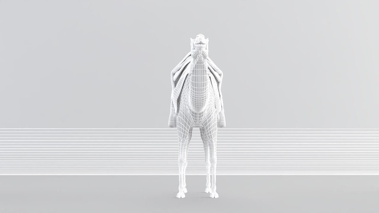 Camel 3D model_9