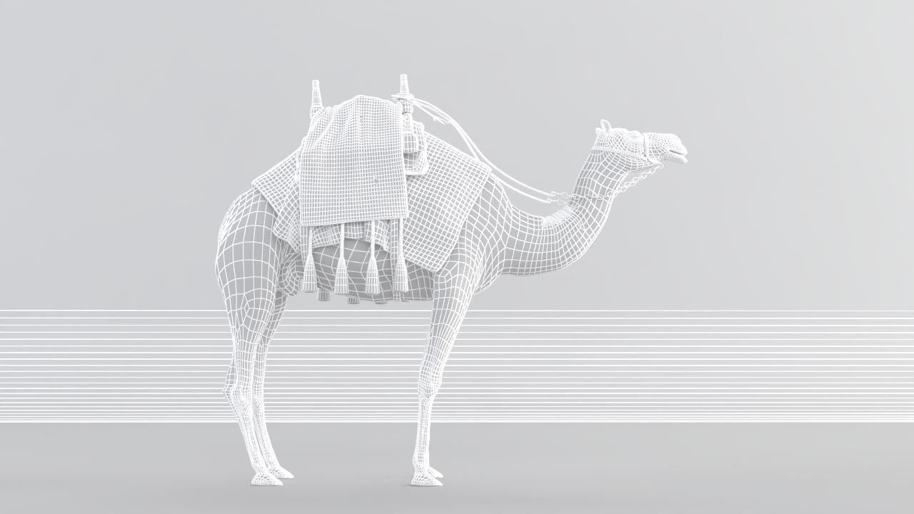 Camel 3D model_10