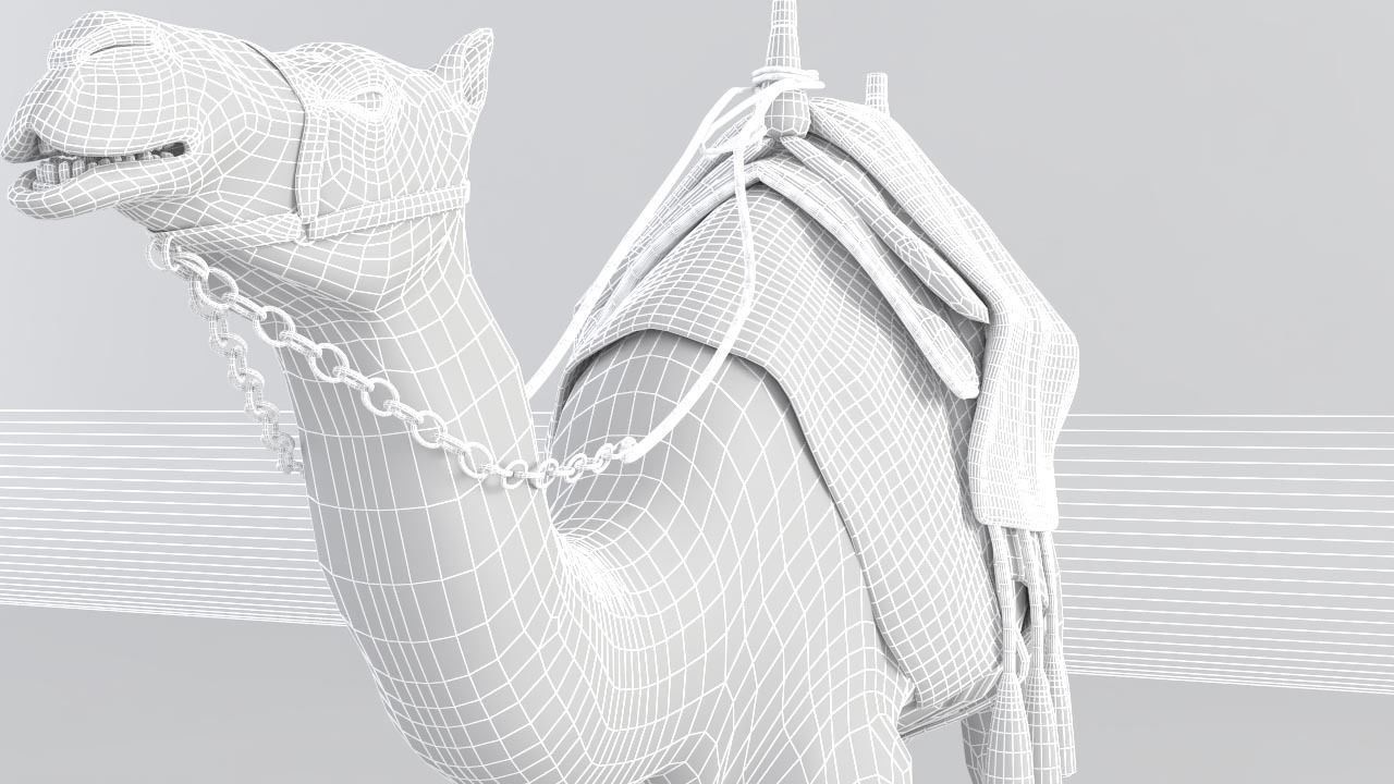 Camel 3D model_11