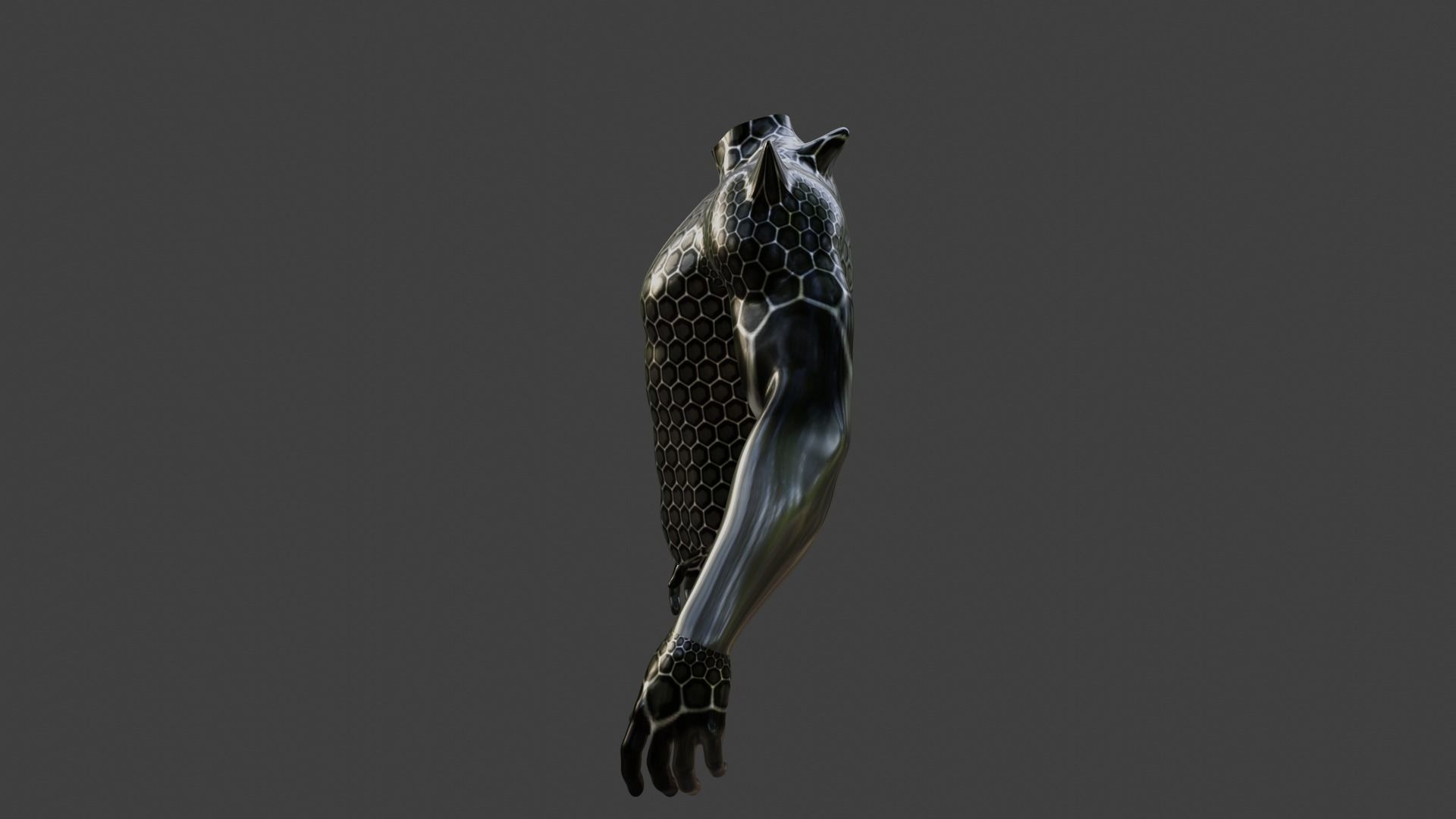 Armored skin  3D model_1