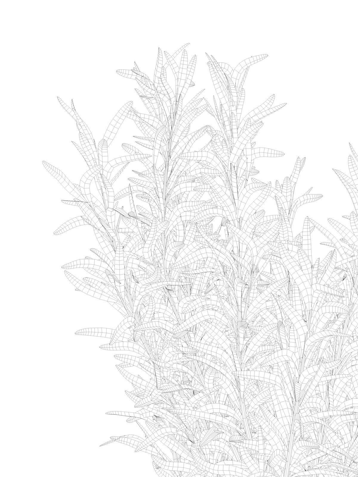 Rosemary in Pot 3D model_7