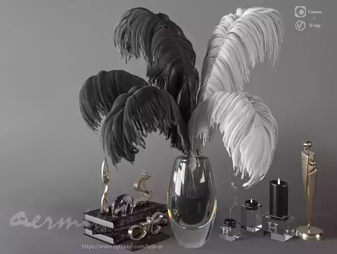 feathers black and white decorative set