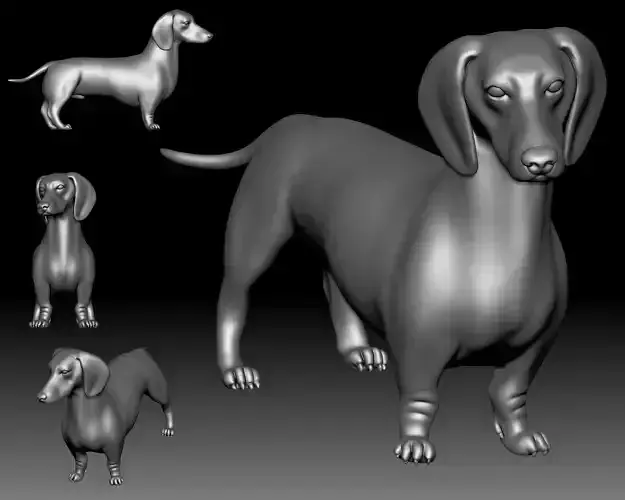 Dutch hound Dachshund 3D printable
