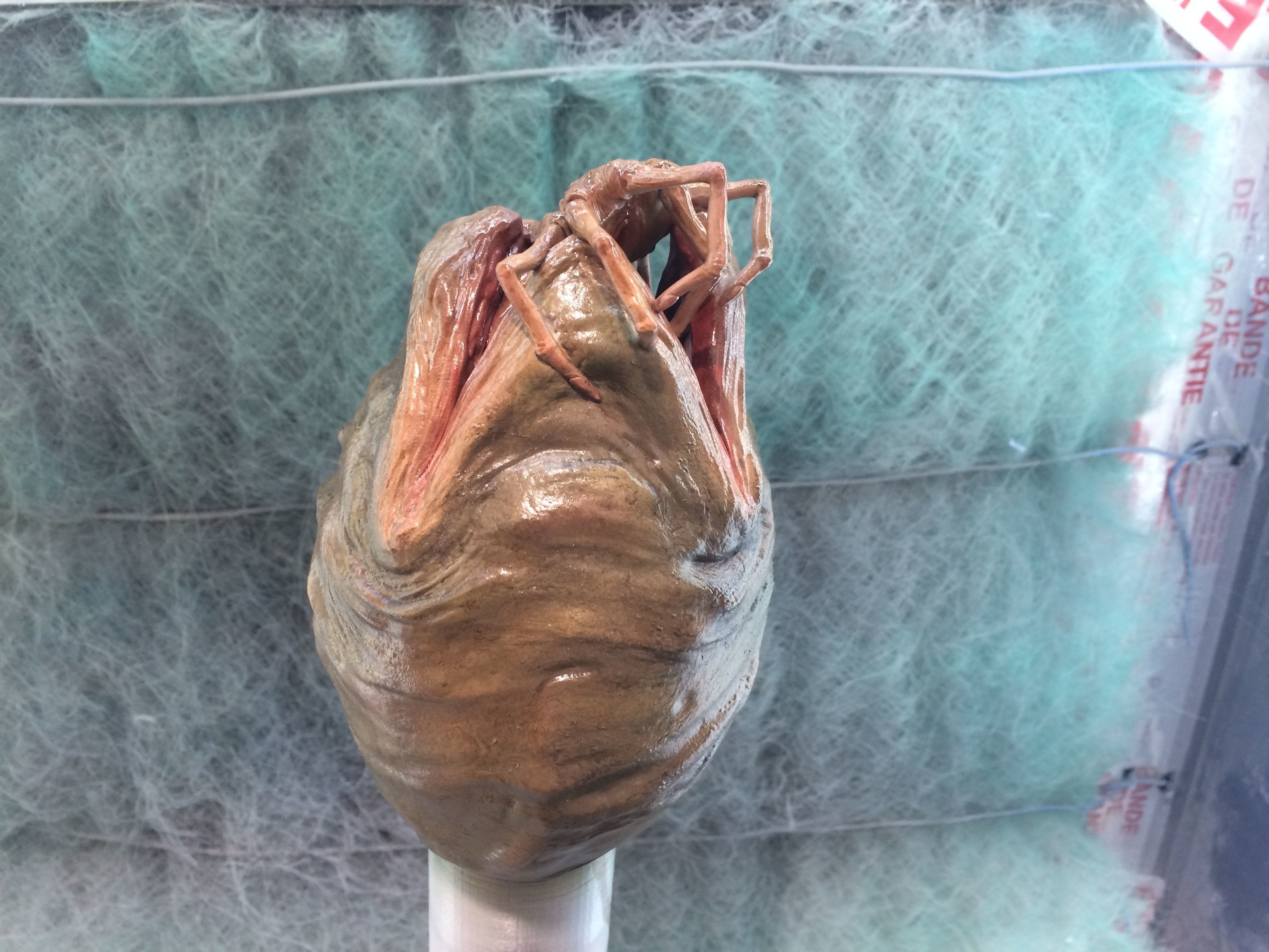 alien facehugger egg - alien-  stl print file 3D print model_4