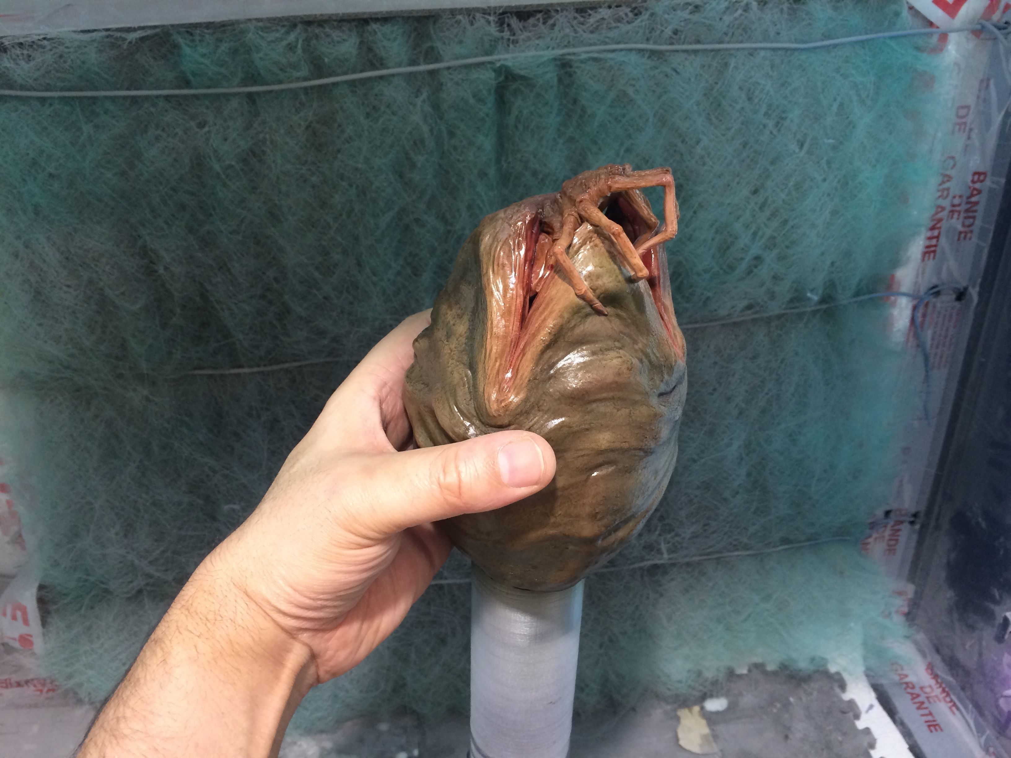alien facehugger egg - alien-  stl print file 3D print model_3
