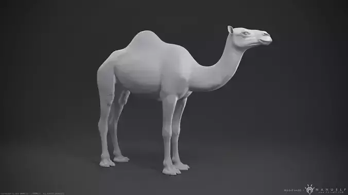 Camel Dromedary - Highpoly Sculpture