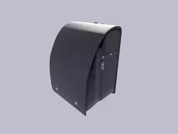 Japanese school bag or Randsel