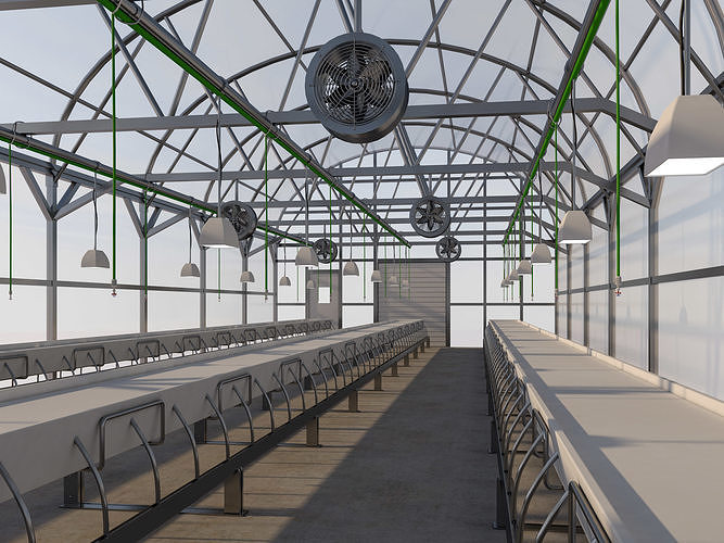 Greenhouse 3D model 7