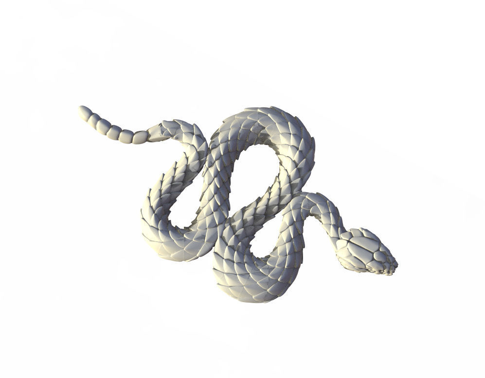 snake 3D print model_3