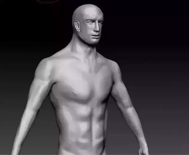 Realistic Male Base Human Anatomy 