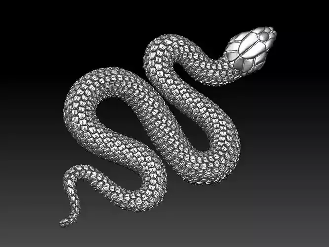 snake 3D print model