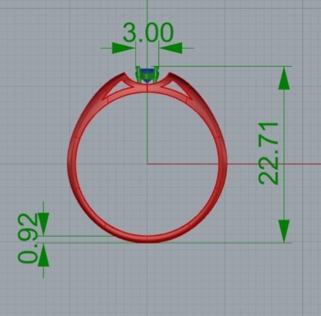  Ring for printing 3D print model_4
