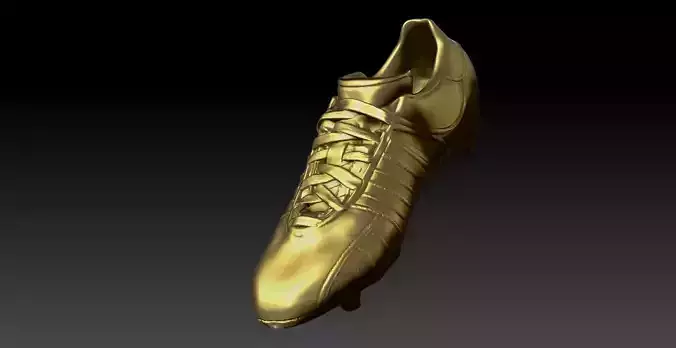 Golden Boot 3D print model