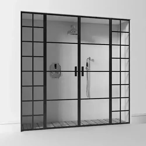 Shower Door