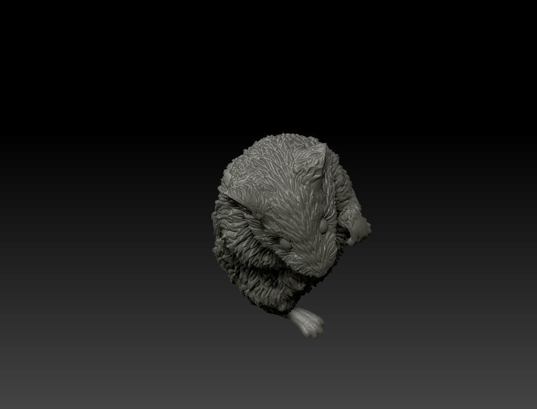 Hamster 3D Printing Model 3D print model_12