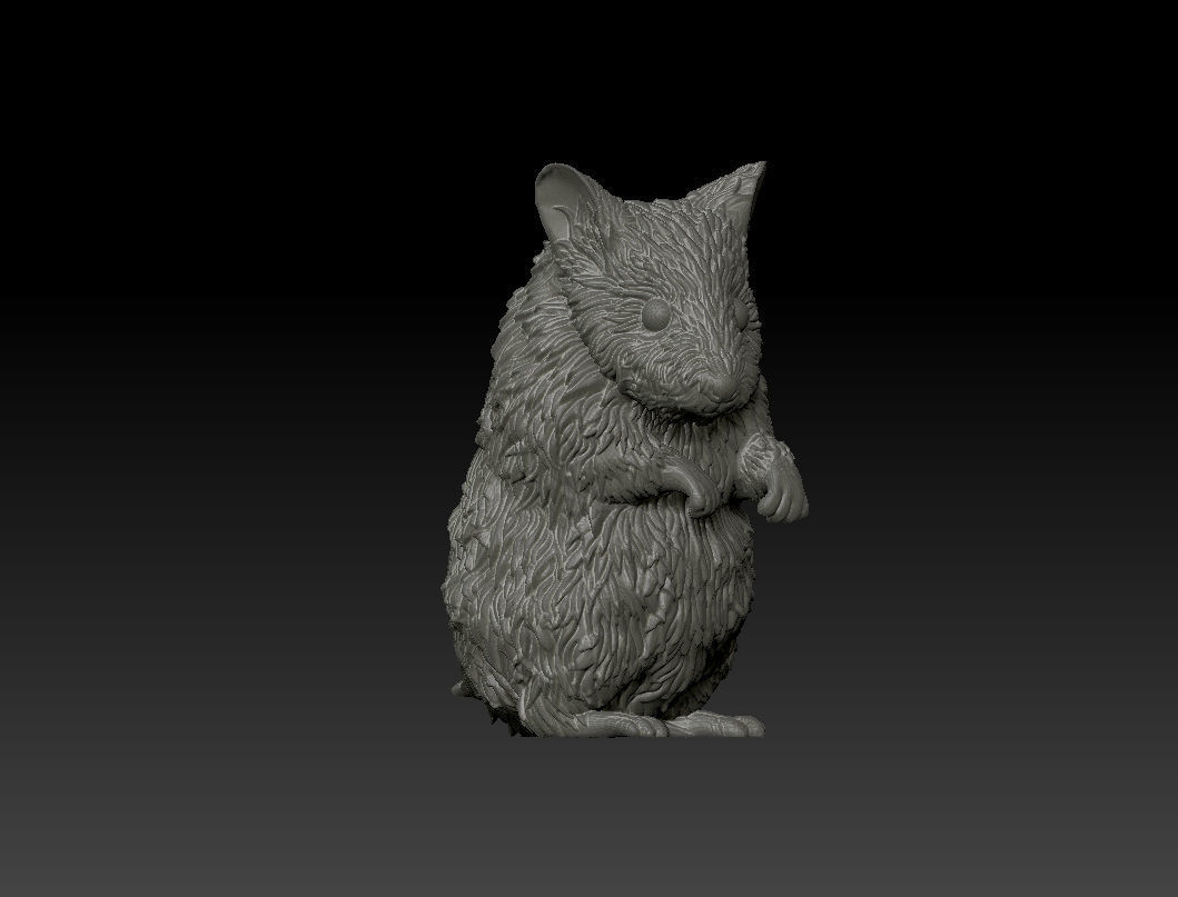 Hamster 3D Printing Model 3D print model_9