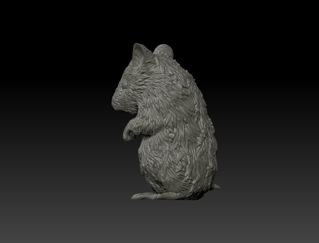 Hamster 3D Printing Model 3D print model_8