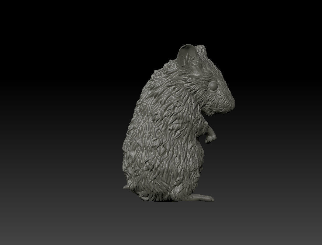 Hamster 3D Printing Model 3D print model_10