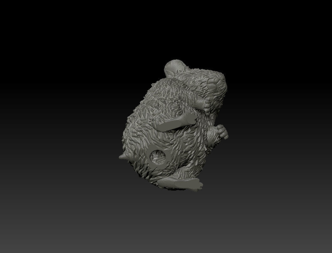 Hamster 3D Printing Model 3D print model_11