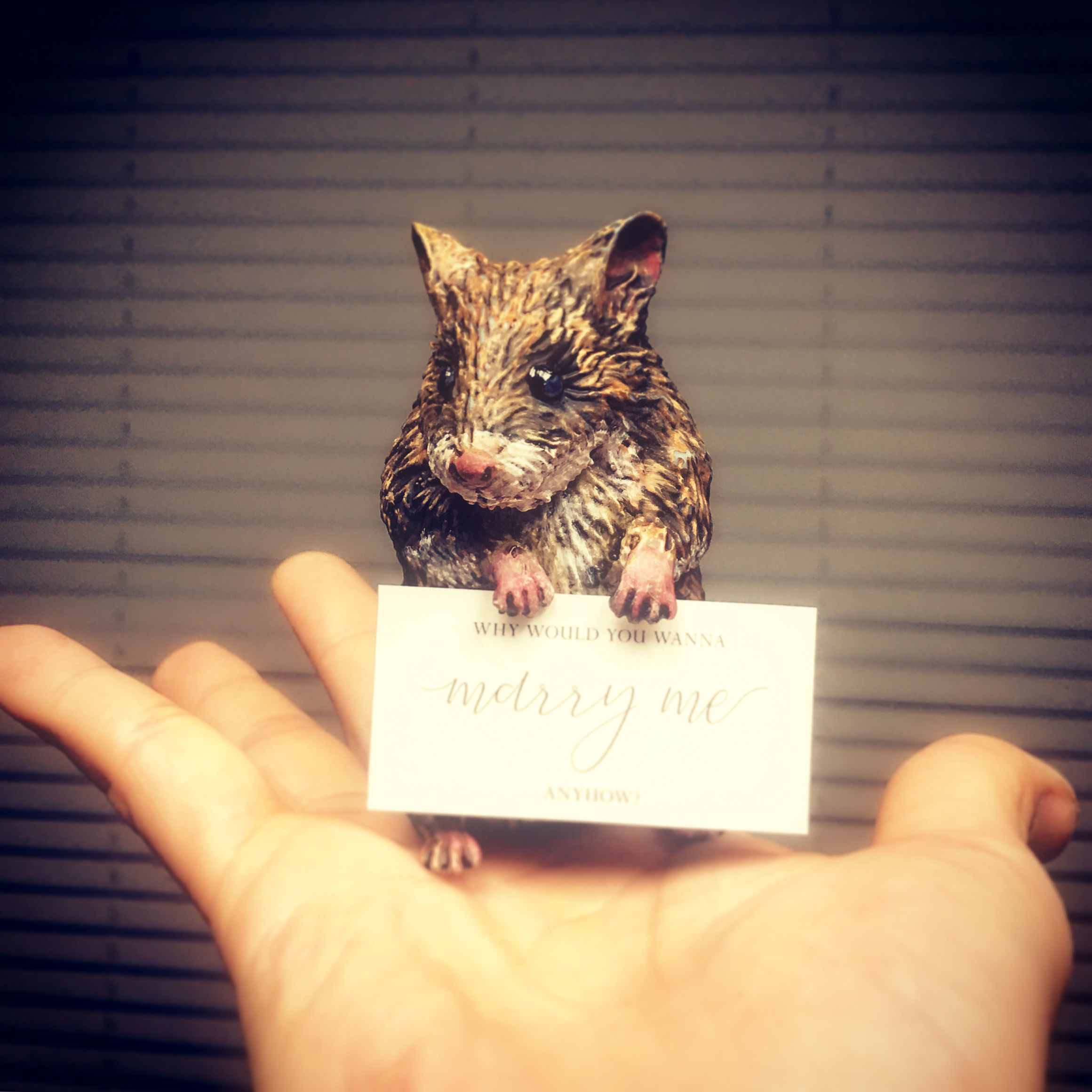 Hamster 3D Printing Model 3D print model_2