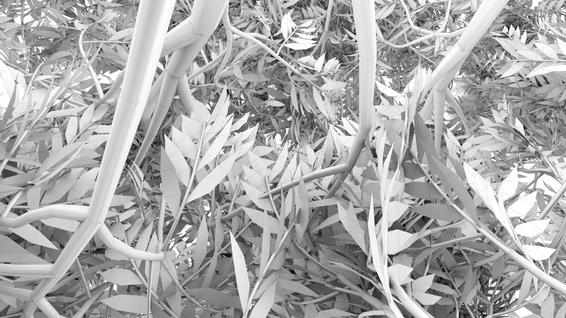 Cypress Oak Tree 3D model_13