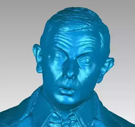 Mr Bean Bust 3D Scan