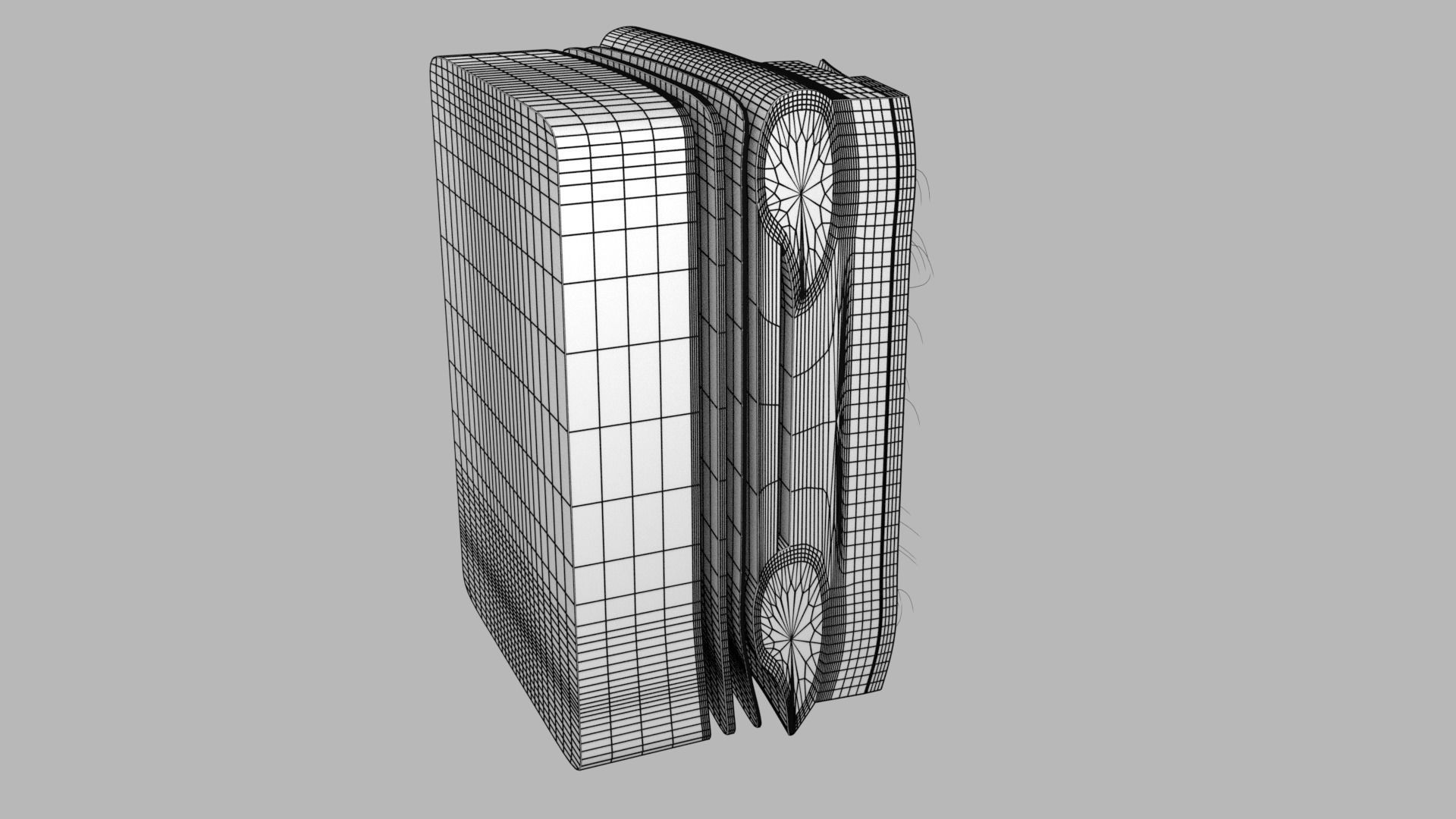 Thoracic wall layers 3D model_18