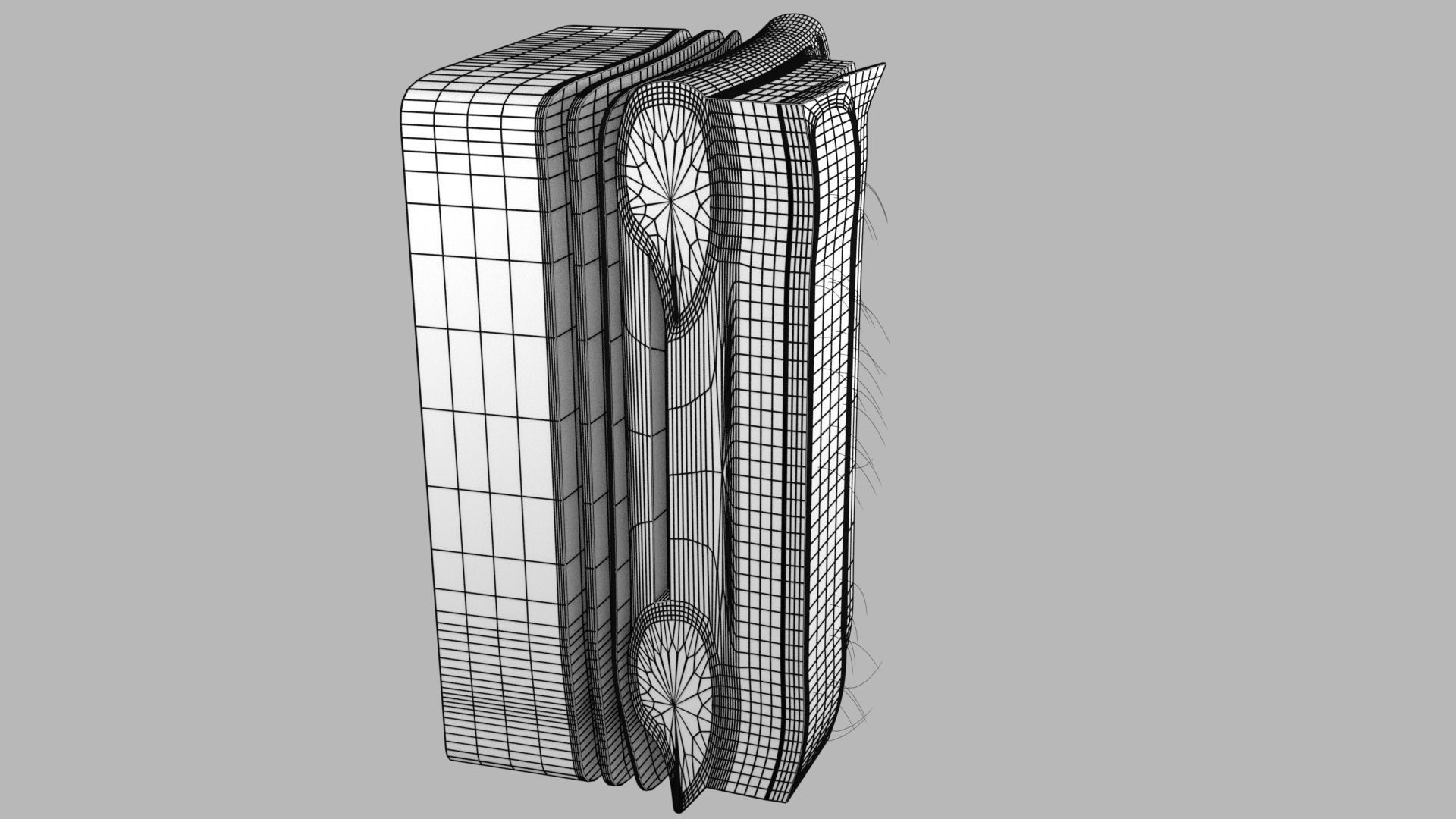 Thoracic wall layers 3D model_20