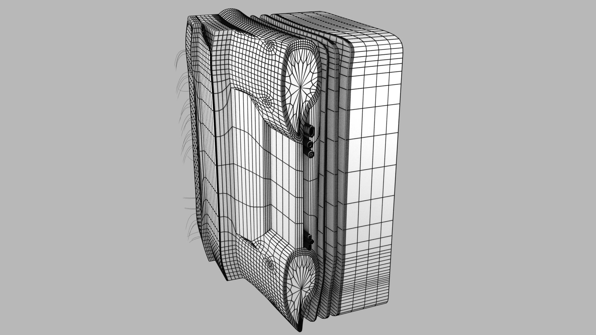 Thoracic wall layers 3D model_12