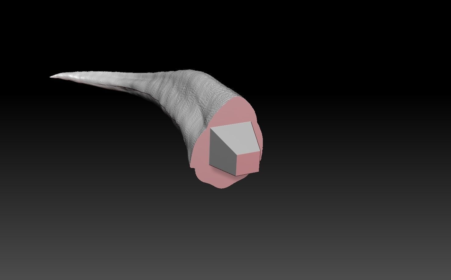 Tyrannosaurus Rex 3D print model_32