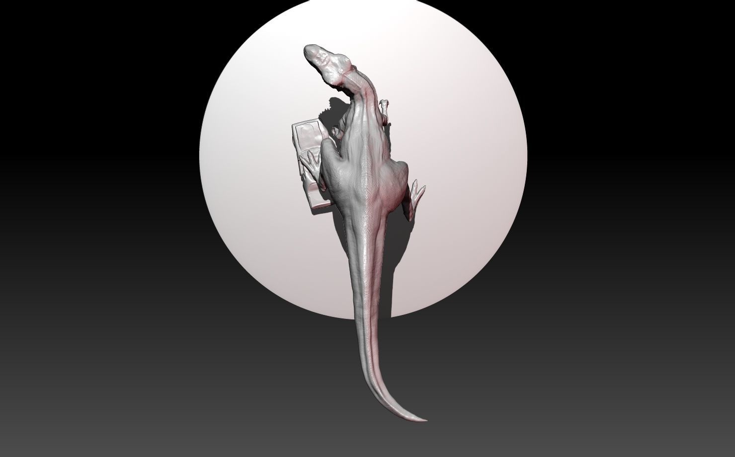 Tyrannosaurus Rex 3D print model_17
