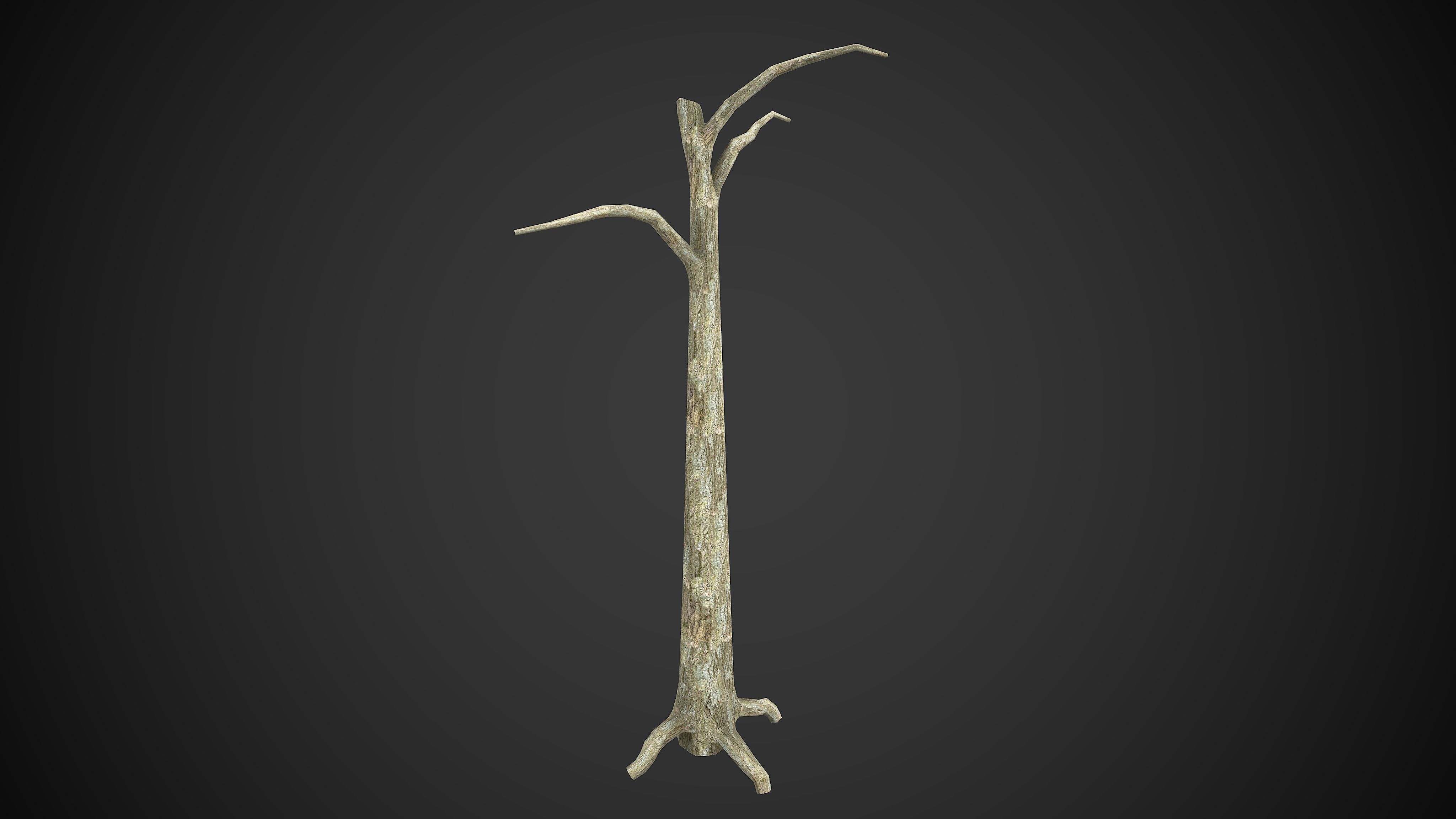 Trees Dry Old 6 Pack Without Leaves Low-poly 3D model_6