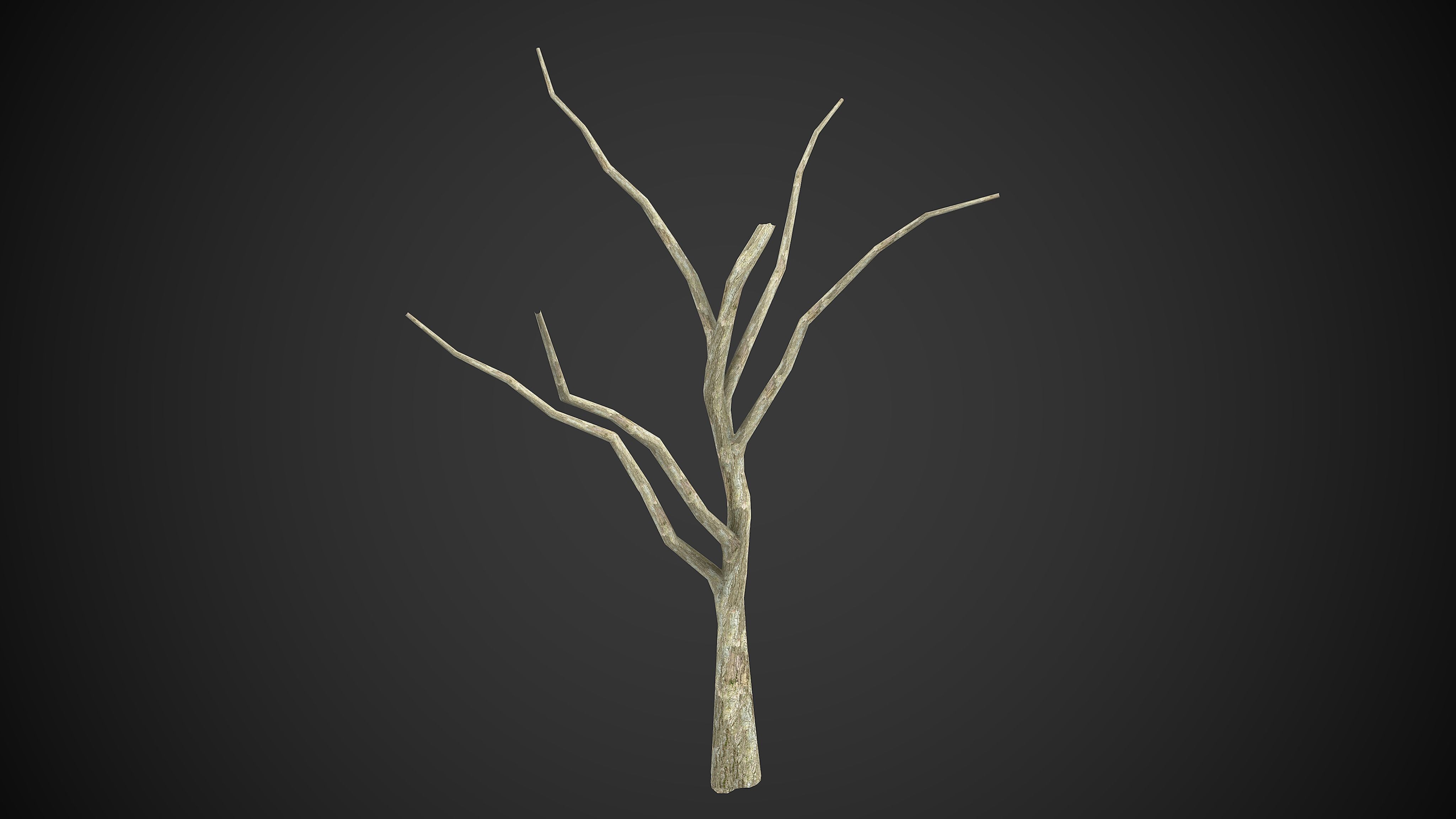 Trees Dry Old 6 Pack Without Leaves Low-poly 3D model_5