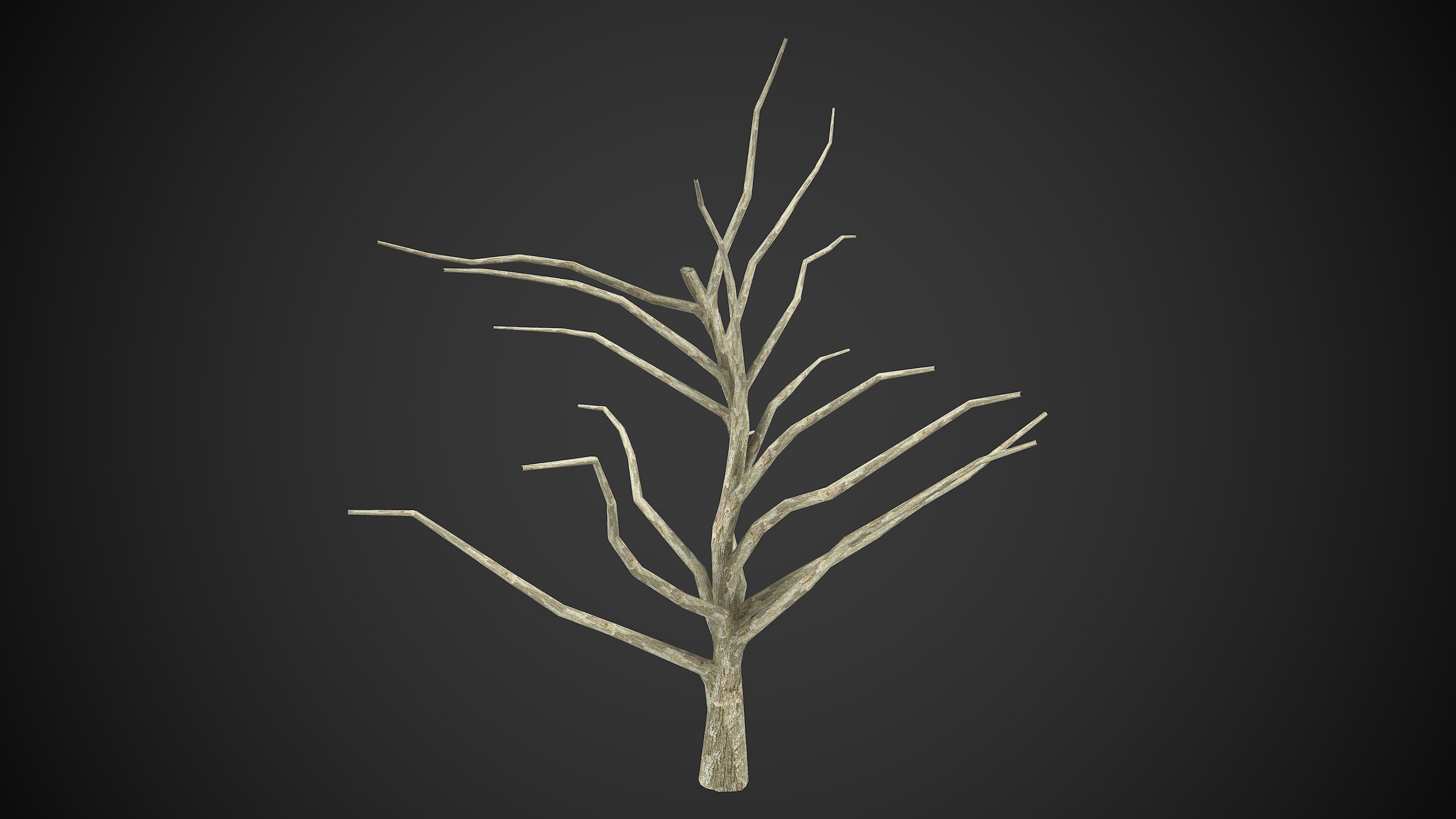 Trees Dry Old 6 Pack Without Leaves Low-poly 3D model_3