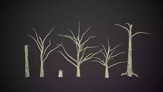 Trees Dry Old 6 Pack Without Leaves