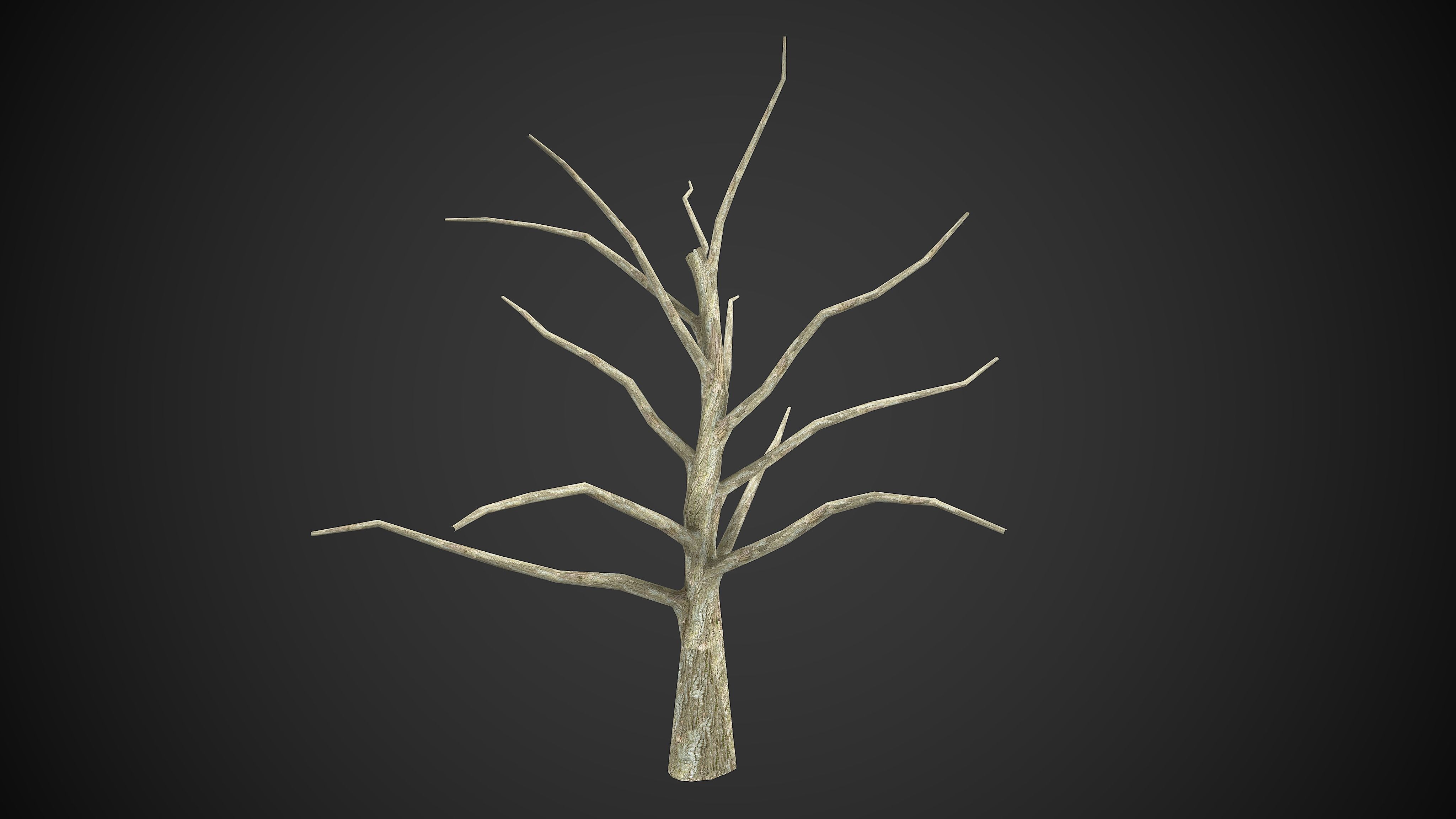 Trees Dry Old 6 Pack Without Leaves Low-poly 3D model_4