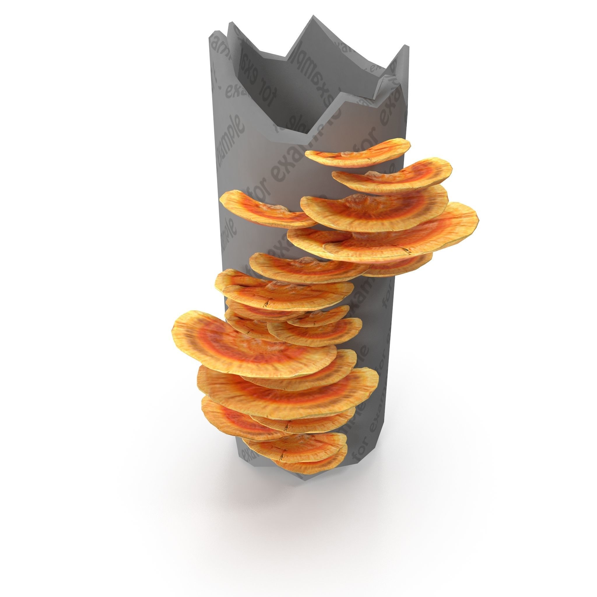 Tinder fungus V1 Low-poly 3D model_2