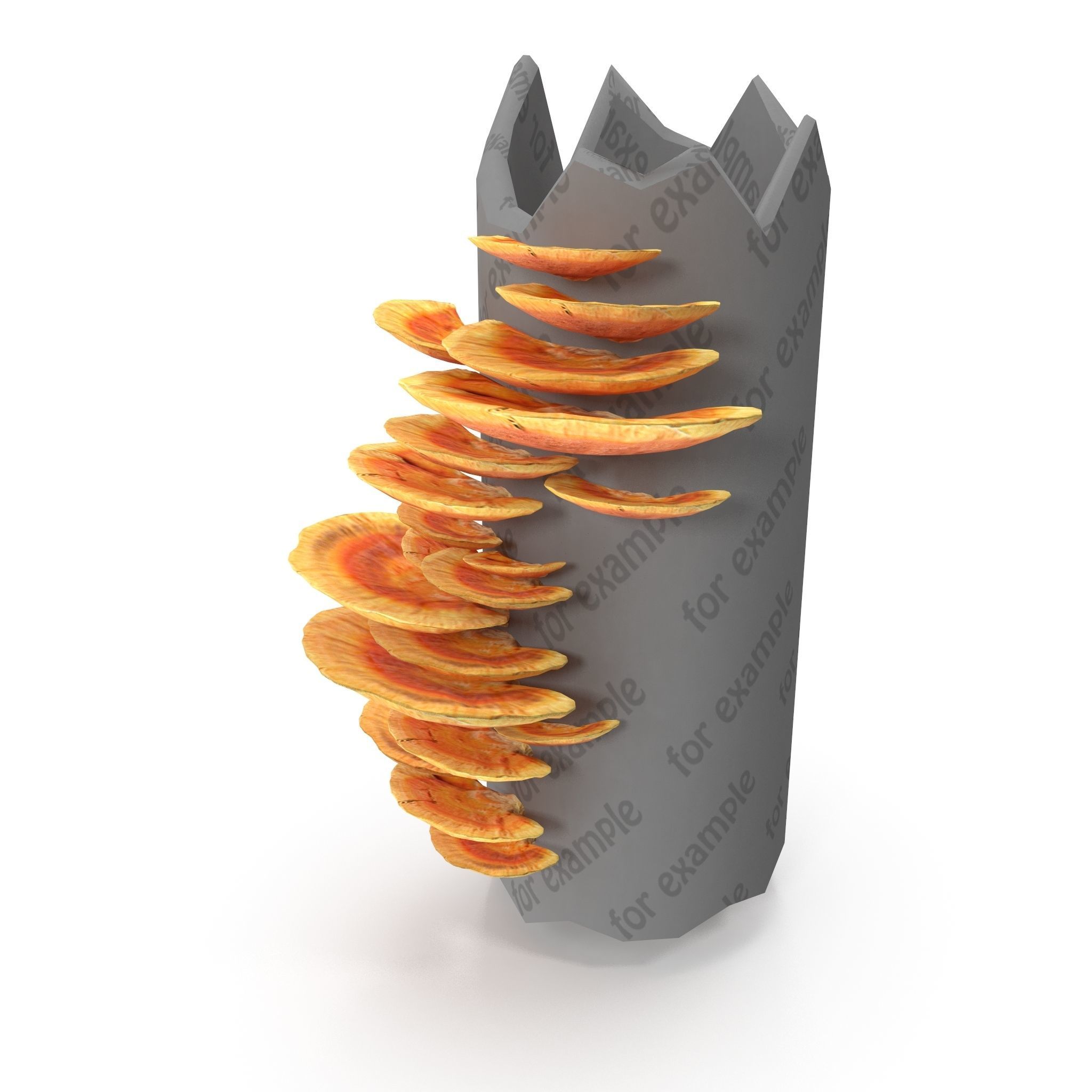 Tinder fungus V1 Low-poly 3D model_3