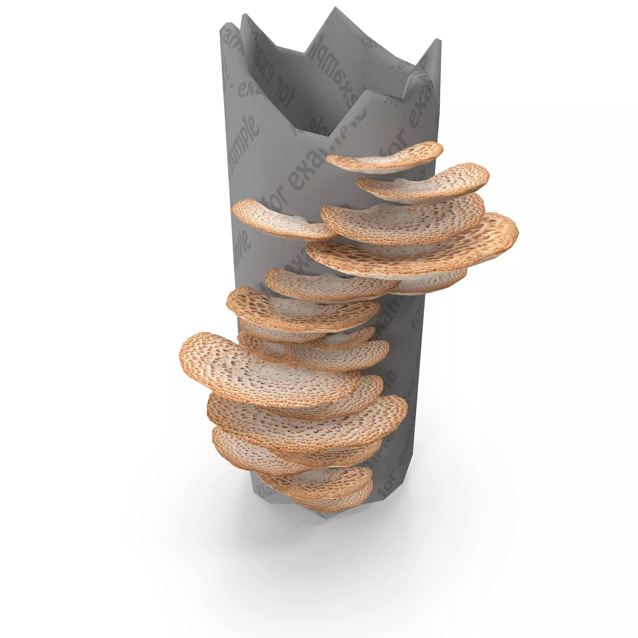 Tinder fungus V2 Low-poly 3D model_0