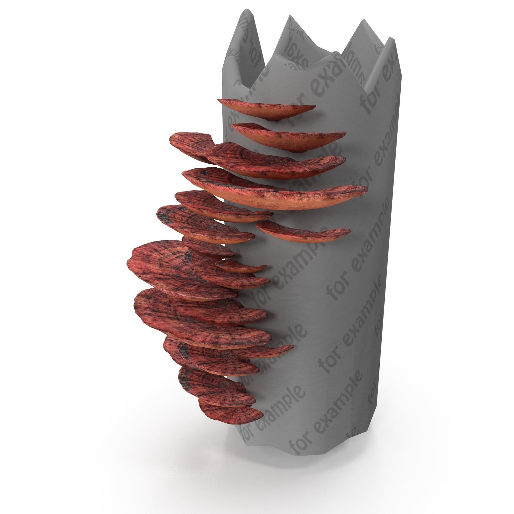 Tinder fungus V3 Low-poly 3D model_2