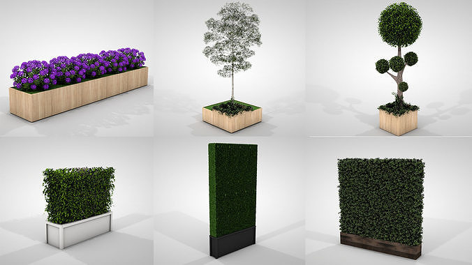 Hedges and Planters Collections 3D model