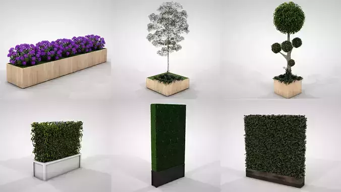 Hedges and Planters Collections