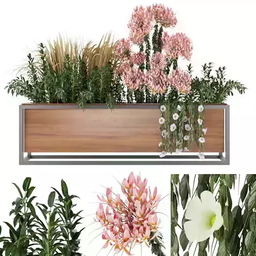 Collection plant vol 27 3D model