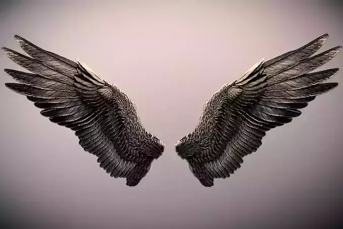 Dark Angel Wings Low-poly 3D model