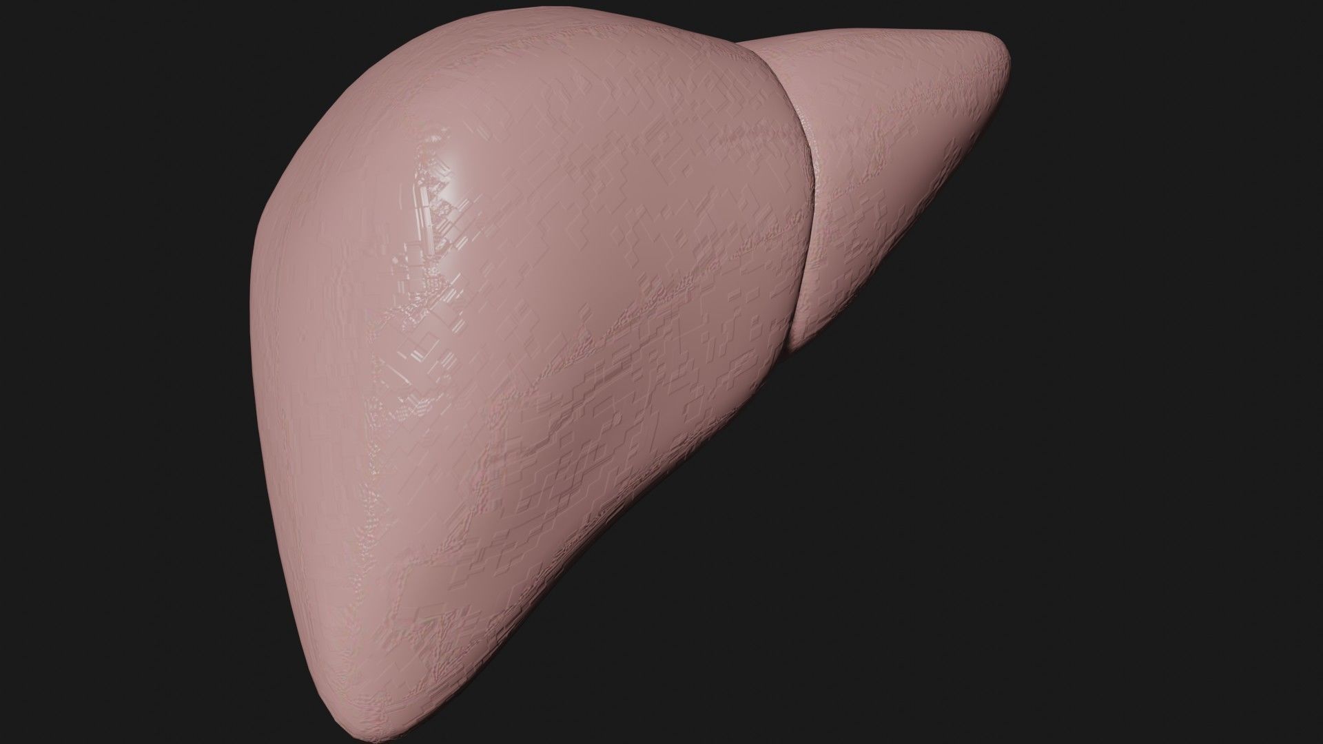 Liver and small and Large intestine  Low-poly 3D model_2