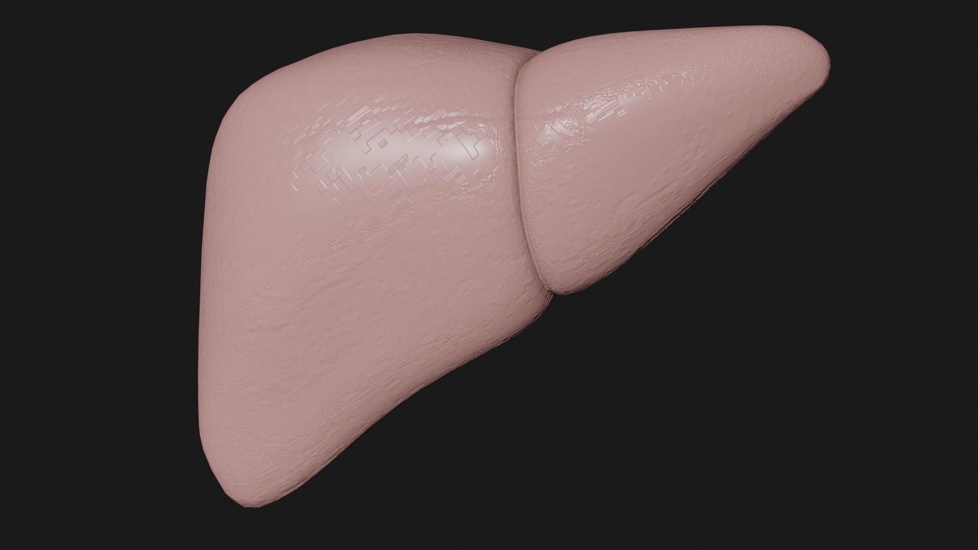 Liver and small and Large intestine  Low-poly 3D model_1