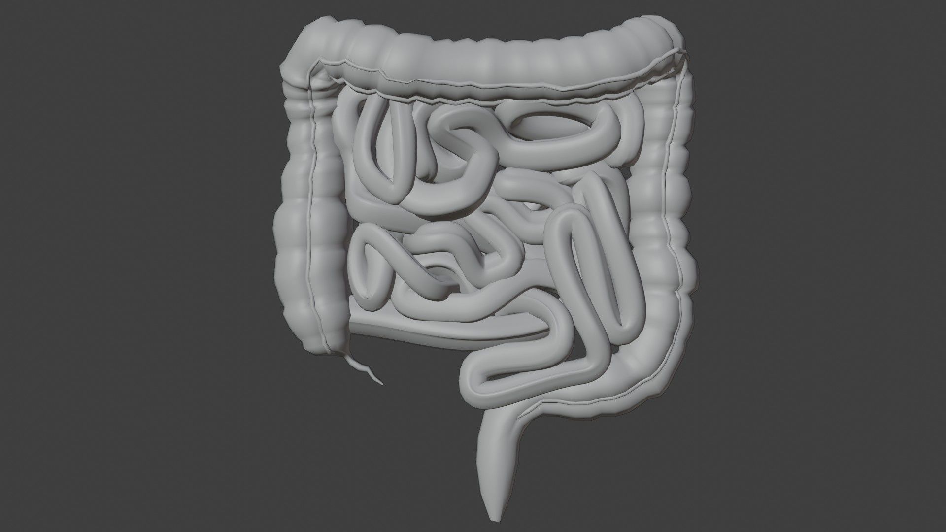 Liver and small and Large intestine  Low-poly 3D model_13