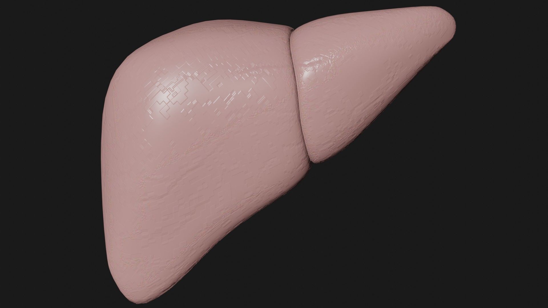 Liver and small and Large intestine  Low-poly 3D model_3